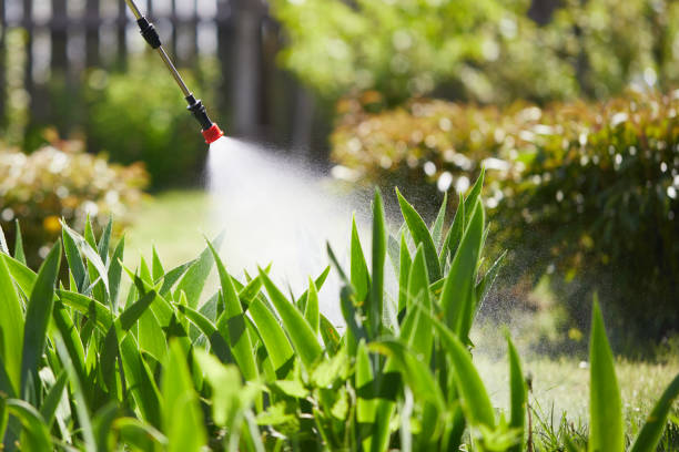 24/7 Emergency Ant Control experts in Midland, MI